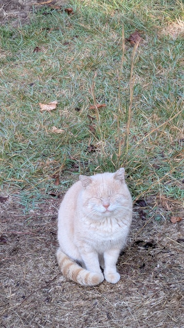【奈良県】くろんど池自然公園@生駒山／2025年立冬バックパック徒歩キャンプ