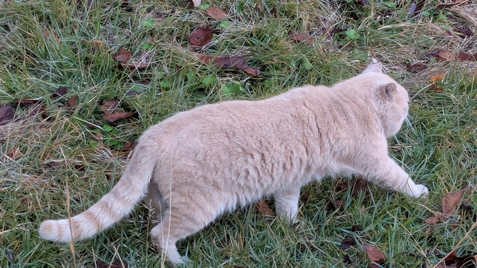 【奈良県】くろんど池自然公園@生駒山／2025年立冬バックパック徒歩キャンプ