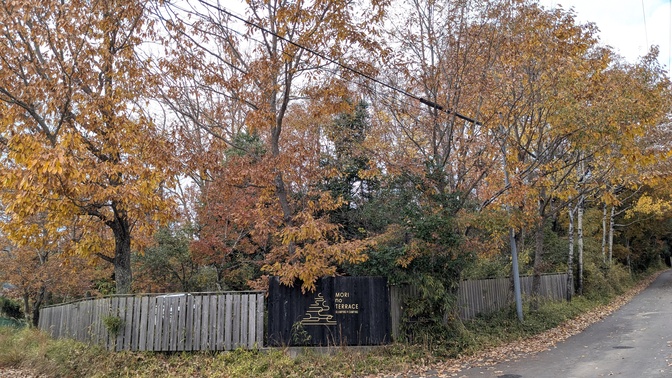 【大阪府】杜のテラス@能勢町／2025年杜の紅葉バックパック徒歩キャンプ