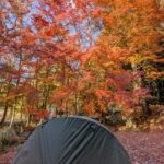 【大阪府】杜のテラス@能勢町／2025年杜の紅葉バックパック徒歩キャンプ