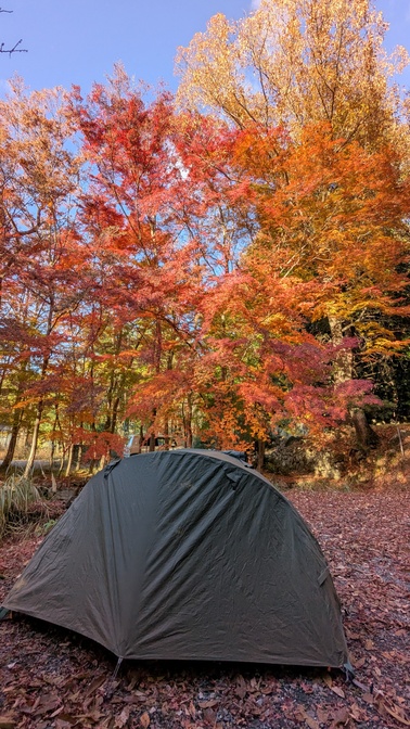 【大阪府】杜のテラス@能勢町／2025年杜の紅葉バックパック徒歩キャンプ