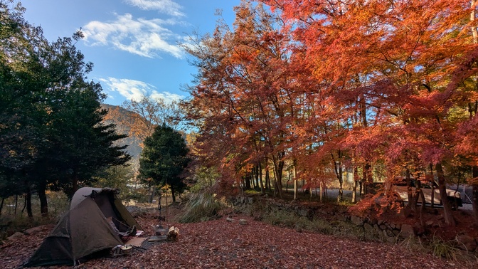 【大阪府】杜のテラス@能勢町／2025年杜の紅葉バックパック徒歩キャンプ