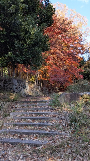【大阪府】杜のテラス@能勢町／2025年杜の紅葉バックパック徒歩キャンプ