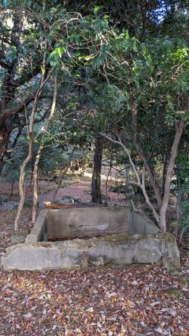 【大阪府】杜のテラス@能勢町／2025年杜の紅葉バックパック徒歩キャンプ