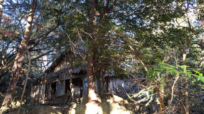 【大阪府】杜のテラス@能勢町／2025年杜の紅葉バックパック徒歩キャンプ