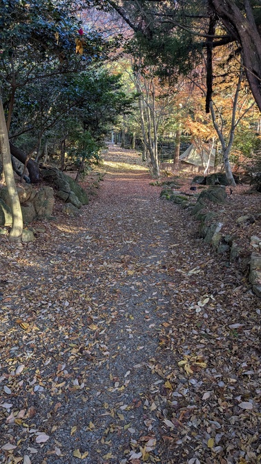 【大阪府】杜のテラス@能勢町／2025年杜の紅葉バックパック徒歩キャンプ