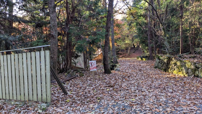 【大阪府】杜のテラス@能勢町／2025年杜の紅葉バックパック徒歩キャンプ