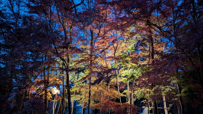 【大阪府】杜のテラス@能勢町／2025年杜の紅葉バックパック徒歩キャンプ