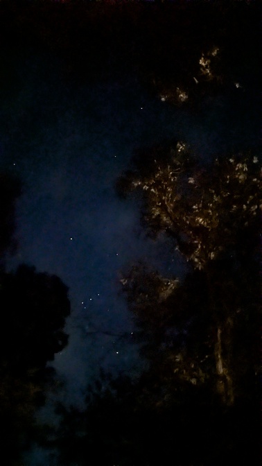 【大阪府】杜のテラス@能勢町／2025年杜の紅葉バックパック徒歩キャンプ