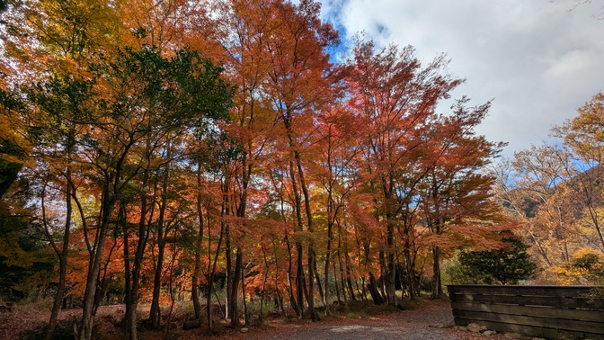 【大阪府】杜のテラス@能勢町／2025年杜の紅葉バックパック徒歩キャンプ