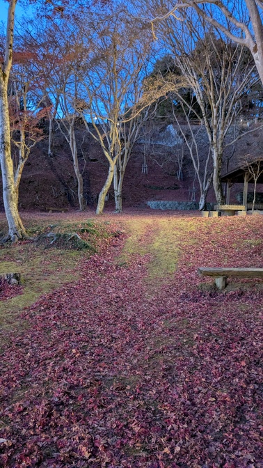 【京都府】笠置キャンプ場／2025年 敷もみじバックパック徒歩キャンプ納め