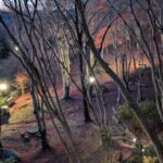 【京都府】笠置キャンプ場／2025年 敷もみじバックパック徒歩キャンプ納め