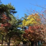 【奈良県】くろんど池自然公園@生駒山／2025年立冬バックパック徒歩キャンプ