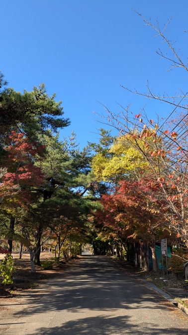 【奈良県】くろんど池自然公園@生駒山／2025年立冬バックパック徒歩キャンプ