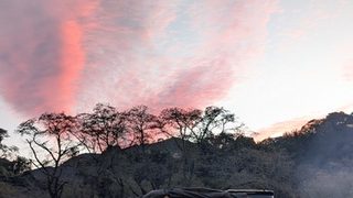 【京都府】笠置キャンプ場/2026年初秋バックパック徒歩キャンプ再起動
